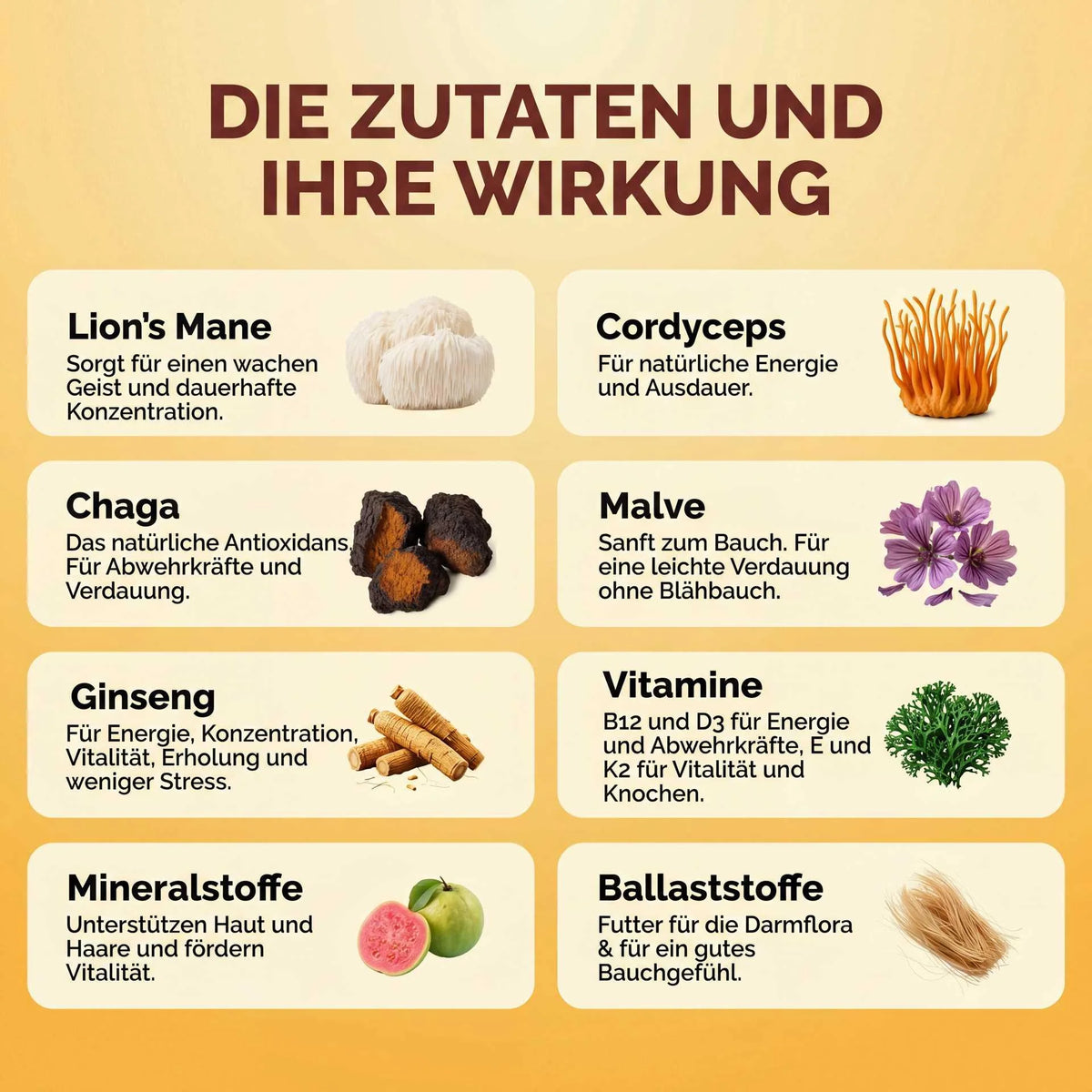 Bonjour – LECKER, NATÜRLICH & GESUND